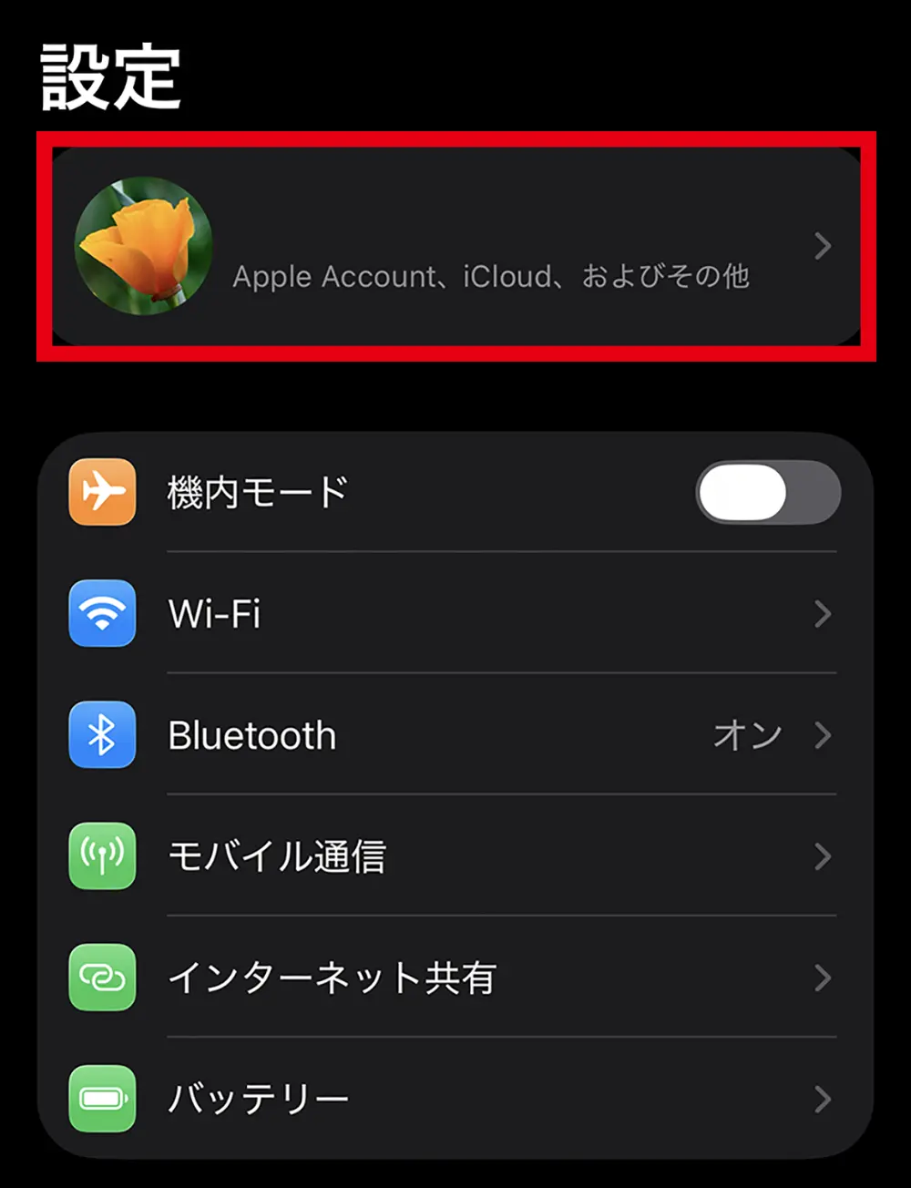 Apple Account パスワード変更手順 1: 自分の名前をタップ