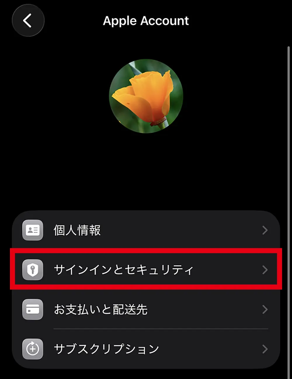 Apple Account パスワード変更手順 2: [サインインとセキュリティ] をタップ